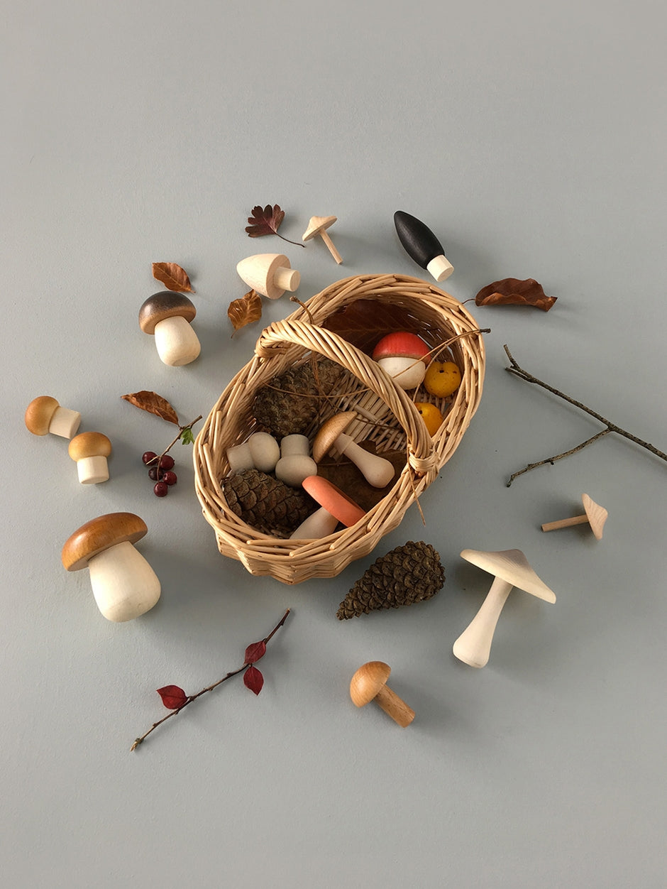 Forest mushrooms basket