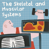 The Human Body [Yoto Card Pack]