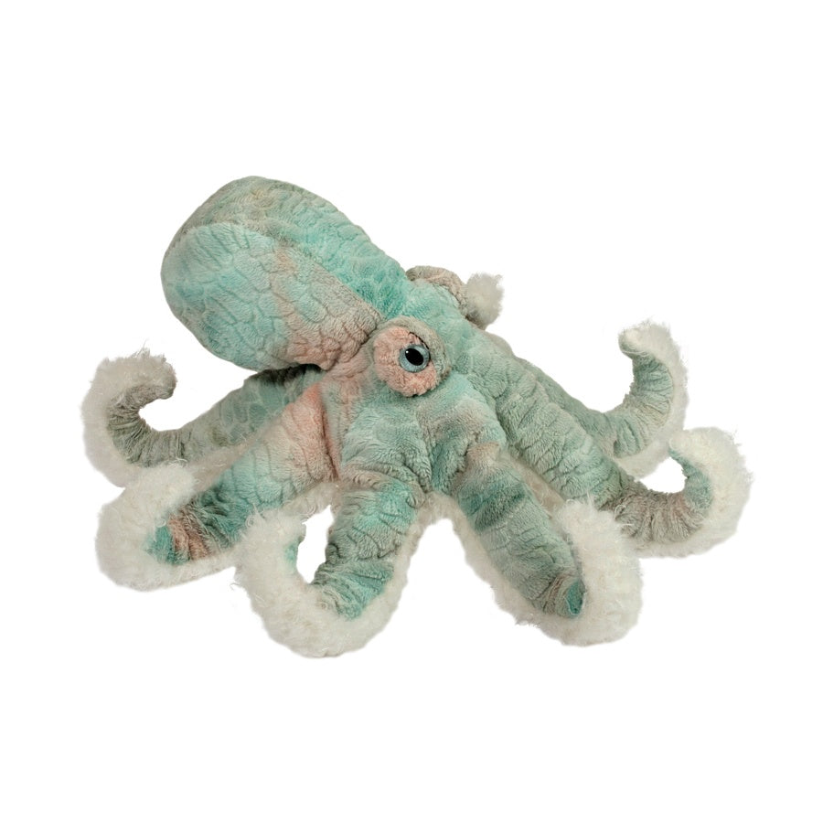 Winona Octopus