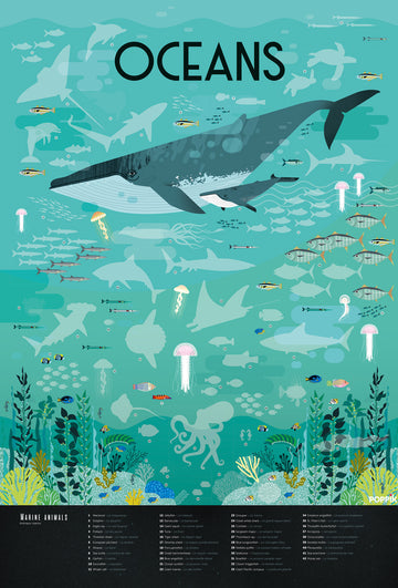 Ocean Discovery Poster