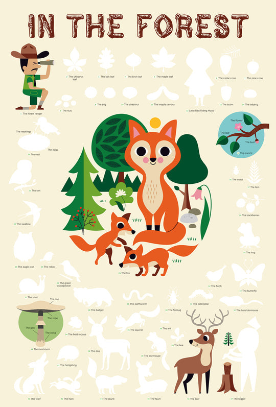 Forest Discovery Poster