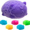 Wild Cats Fuzz Ball NeeDoh
