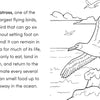 Bird Book for Kids: Coloring Fun and Awesome Facts