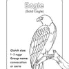 Bird Book for Kids: Coloring Fun and Awesome Facts