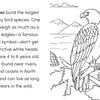 Bird Book for Kids: Coloring Fun and Awesome Facts