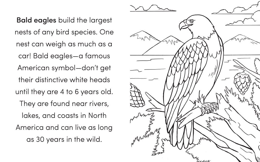 Bird Book for Kids: Coloring Fun and Awesome Facts