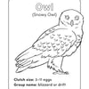 Bird Book for Kids: Coloring Fun and Awesome Facts