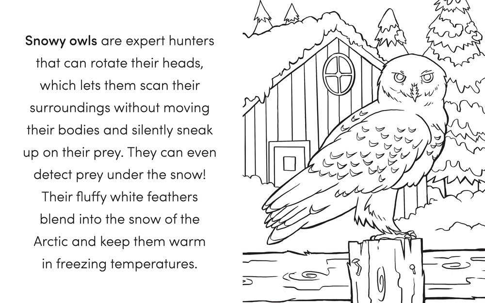 Bird Book for Kids: Coloring Fun and Awesome Facts