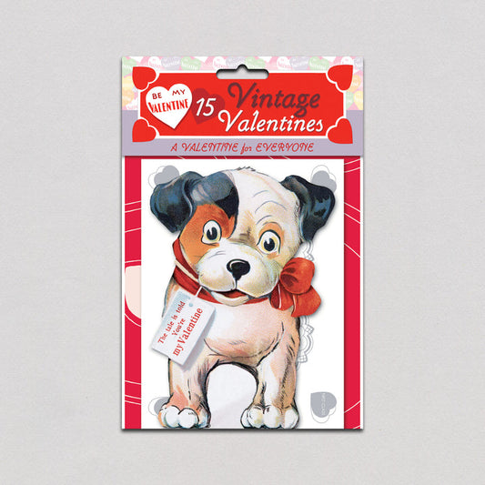 A Valentine For Everyone - Valentines Packet