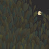 Ancient Night