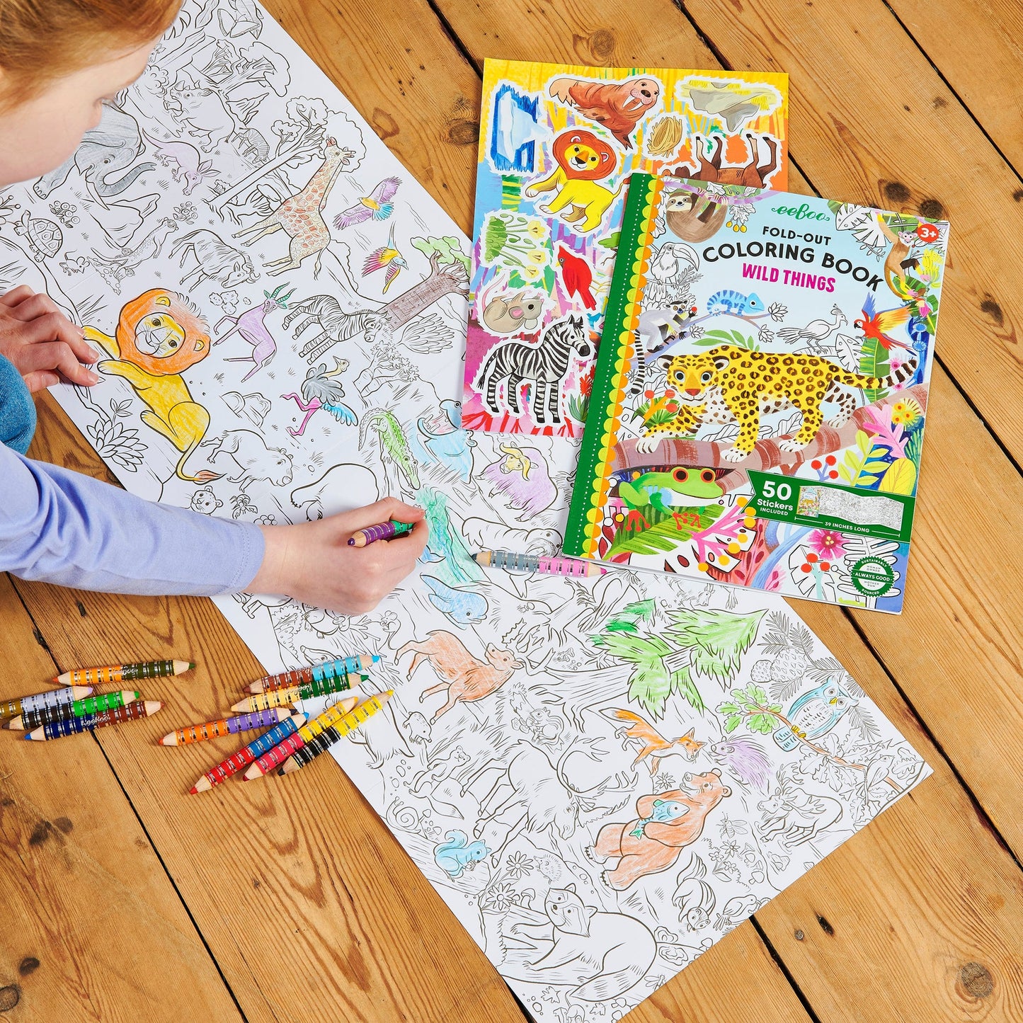 Wild Things - Fold-Out Coloring Book