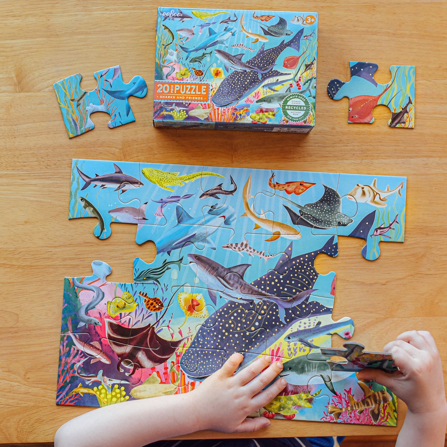 Sharks and Friends 20 Piece Puzzle