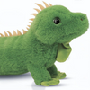 Buddie Iguana
