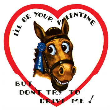 Animal Fun - Valentines Packet
