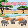 Baby Hippos