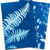 Sun Snap Photo Paper: Cyanotype Sun Print Kit