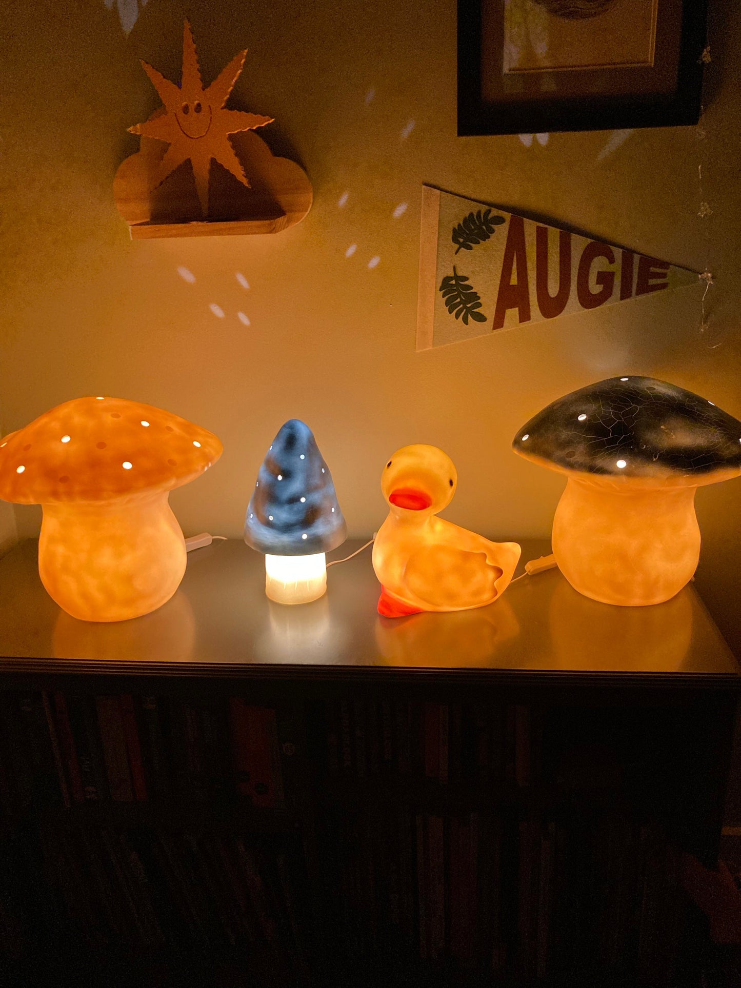 Photo of different mushroom lamps lit up