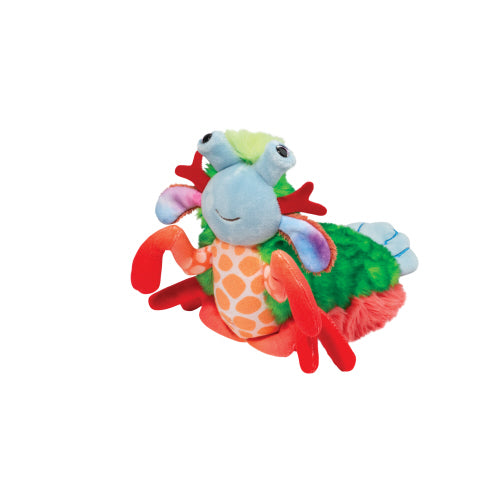 Punchie the Mantis Shrimp