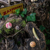 Wild Exploration Play Set