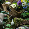Wild Exploration Play Set
