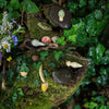 Wild Exploration Play Set