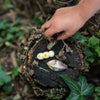 Wild Exploration Play Set