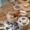 Wild Exploration Play Set