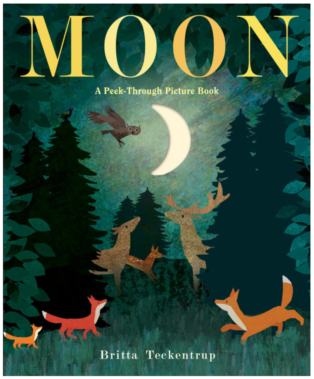 Moon: A Peek-Through Picture Book