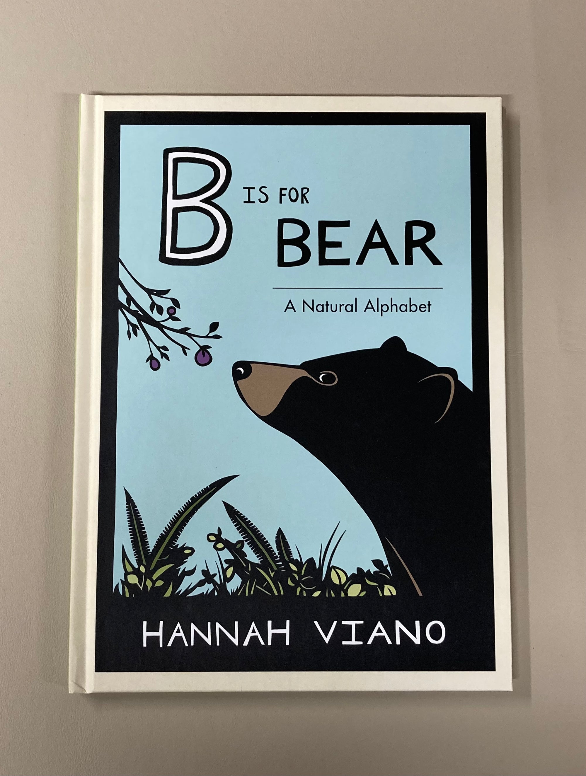 B Is for Bear